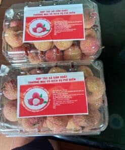 Vải thiều sạch Lục Ngạn