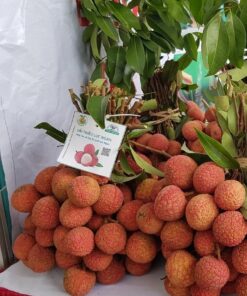 Đặc sản vải thiều Lục Ngạn