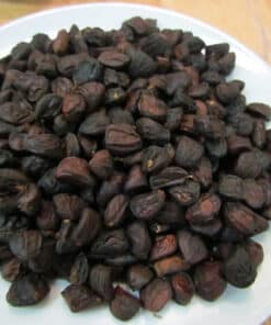 Hạt mắc mật khô ngon bổ dưỡng rất tốt với sức khỏe con người