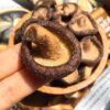 Tác dụng của nấm hương sấy giòn mang lại cho sức khỏe - Origin Việt Nam